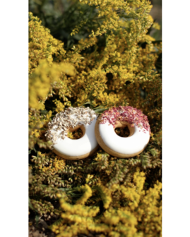 HB Candy Horse Donuts Rozenblaadjes IJslands Mos