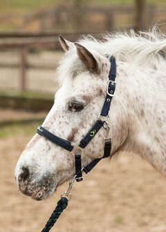 Harry&rsquo;s Horse Halsterset STOUT! Lime