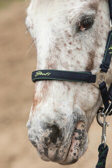 Harry&rsquo;s Horse Halsterset STOUT! Lime