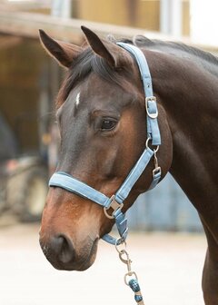 Harry&rsquo;s Horse Halsterset Just Ride Retro