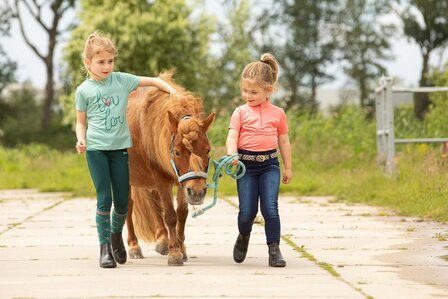 Harry&rsquo;s Horse Rijlegging LouLou Elodie Full Grip