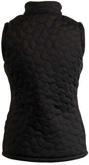 Harry&rsquo;s Horse Reversible Bodywarmer Denici Cavalli Stardust