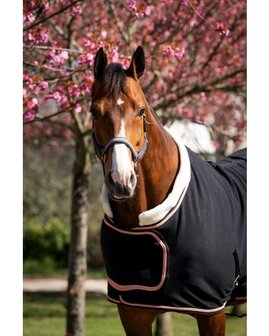 HB Showtime Zweetdeken R&oacute;segold