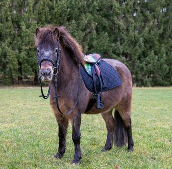 HKM Shetlander Zadel Colourful