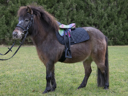 HKM Shetlander Zadel Colourful