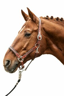 HKM Leren Halster Soft