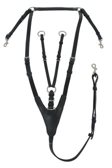 Horka Borsttuig met Martingaal