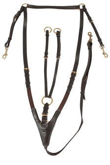 Horka Borsttuig met Martingaal