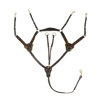 Horka 5-Punts Voortuig met Martingaal