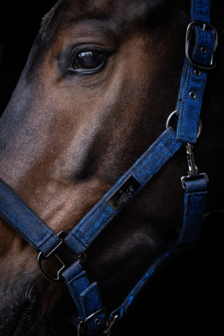 Mrs. Ros Haltersset Festive