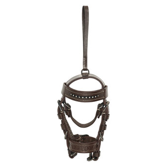 HV Polo Hoofdstelletje Legacy​​​​​​​