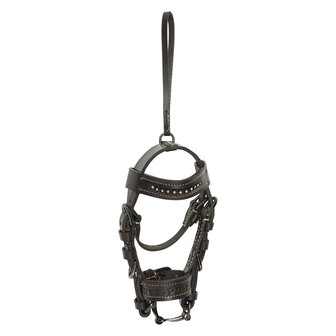 HV Polo Hoofdstelletje Legacy​​​​​​​