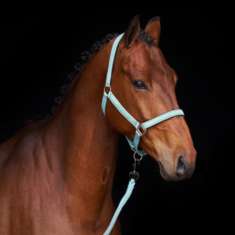 HV Polo Halster Nena