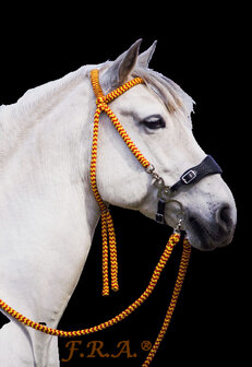 FRA Hoofdstel Bodanza