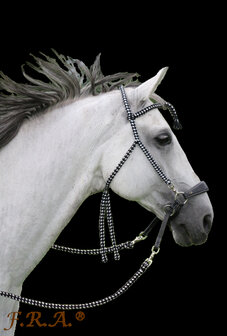 FRA Hoofdstel Bodanza