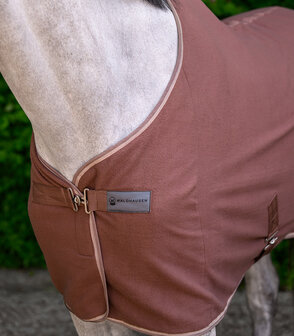 Waldhausen Zweetdeken Economic met Buikbanden