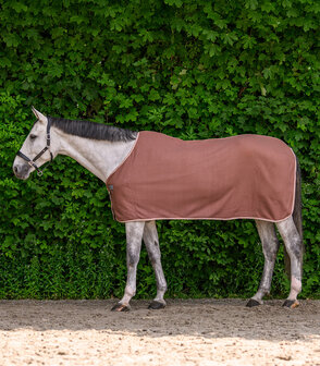 Waldhausen Zweetdeken Economic