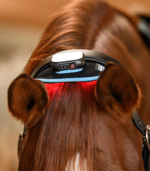 Waldhausen Health + Care Infrarood FlexPad​​​​​​​