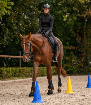 Waldhausen Set van 8 XL Pylonen met Tas​​​​​​​