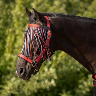 QHP Vliegenfrontriem Collection