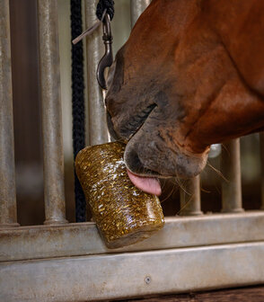 Waldhausen StableSnack Herbal Lick 1 kg