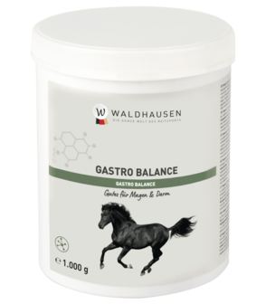 Waldhausen Gastro Balance 1 kg