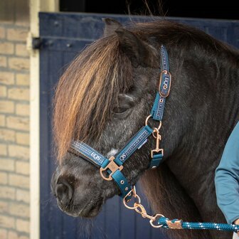 Harry&rsquo;s Horse Halsterset Equestrian Society