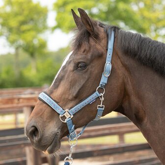 Harry&rsquo;s Horse Halsterset Crystal