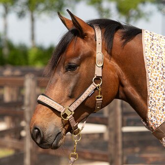 Harry&rsquo;s Horse Halsterset Crystal