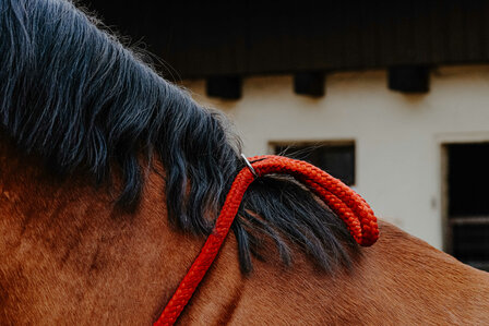 Norton Neckrope