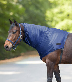 Waldhausen Eczeem Hals