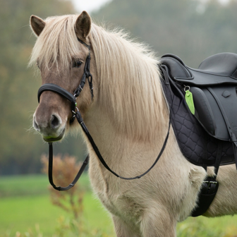 Barefoot VegiTex Merlyn PRO