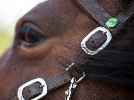 Barefoot VegiTex bitloos hoofdstel Syringa