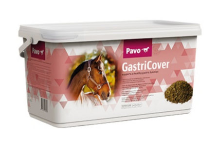 Pavo GastriCover