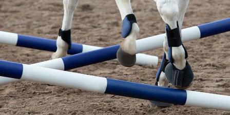 HippoTonic Hindernis Set