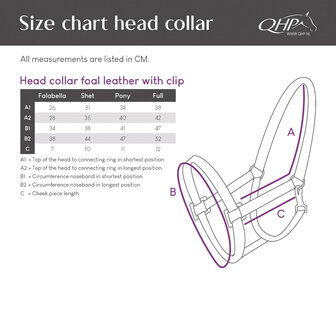 QHP Leren Veulenhalster met Clip