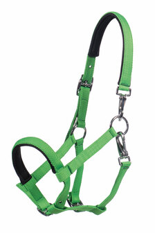 HKM Veulenhalster Millie