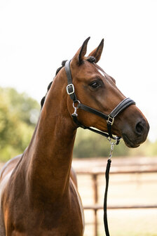 HKM Lederen Halster Glamour