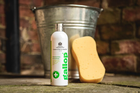 Carr &amp; Day &amp; Martin Gallop Antibacteri&euml;le Medicated&nbsp;Shampoo 500 ml