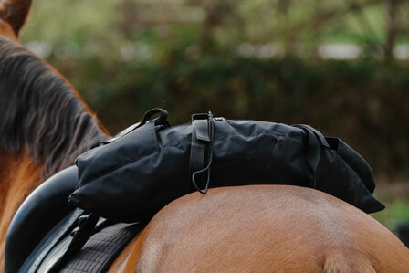 Randol's zadeltas Banaan