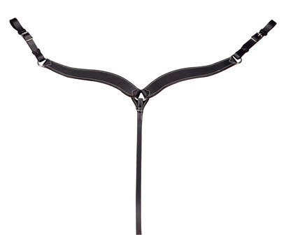 Randol's western borsttuig