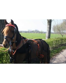 HB vliegendeken met hals voor mennen