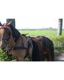 HB vliegendeken met hals voor mennen