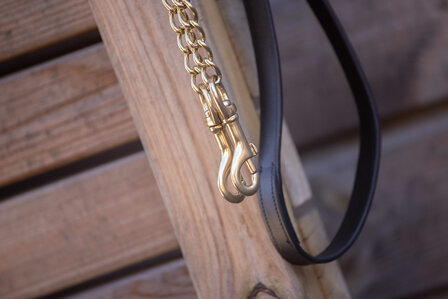 Paddock Hengstenketting Presentation