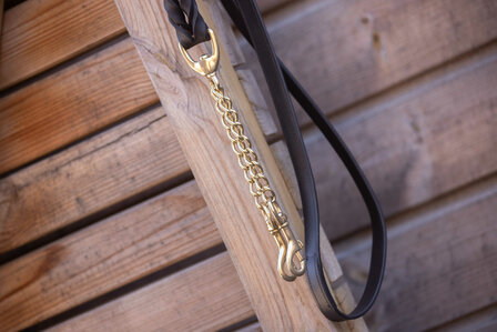 Paddock Hengstenketting Presentation