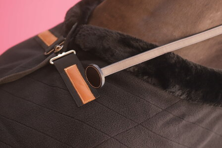 Paddock Hengstenketting Presentation