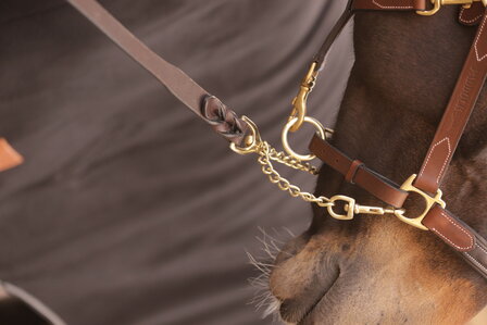 Paddock Hengstenketting Presentation