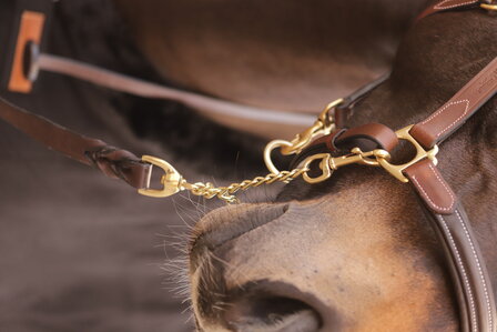 Paddock Hengstenketting Presentation