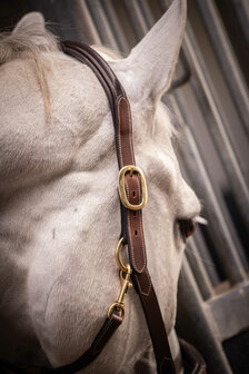 Paddock Leren Halster