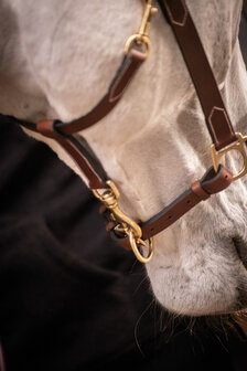 Paddock Leren Halster